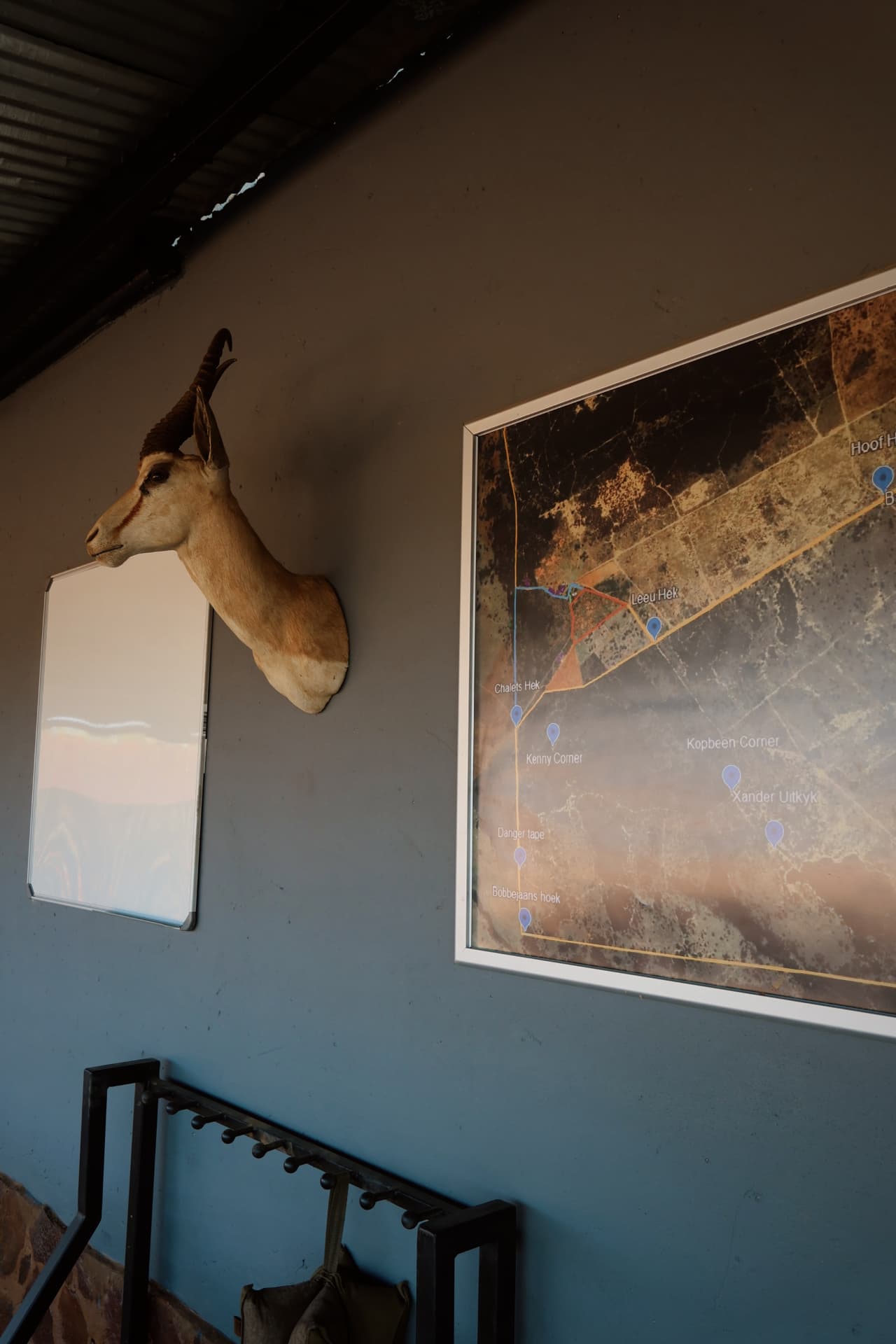Framed farm map and trophy mount in the lodge entrance