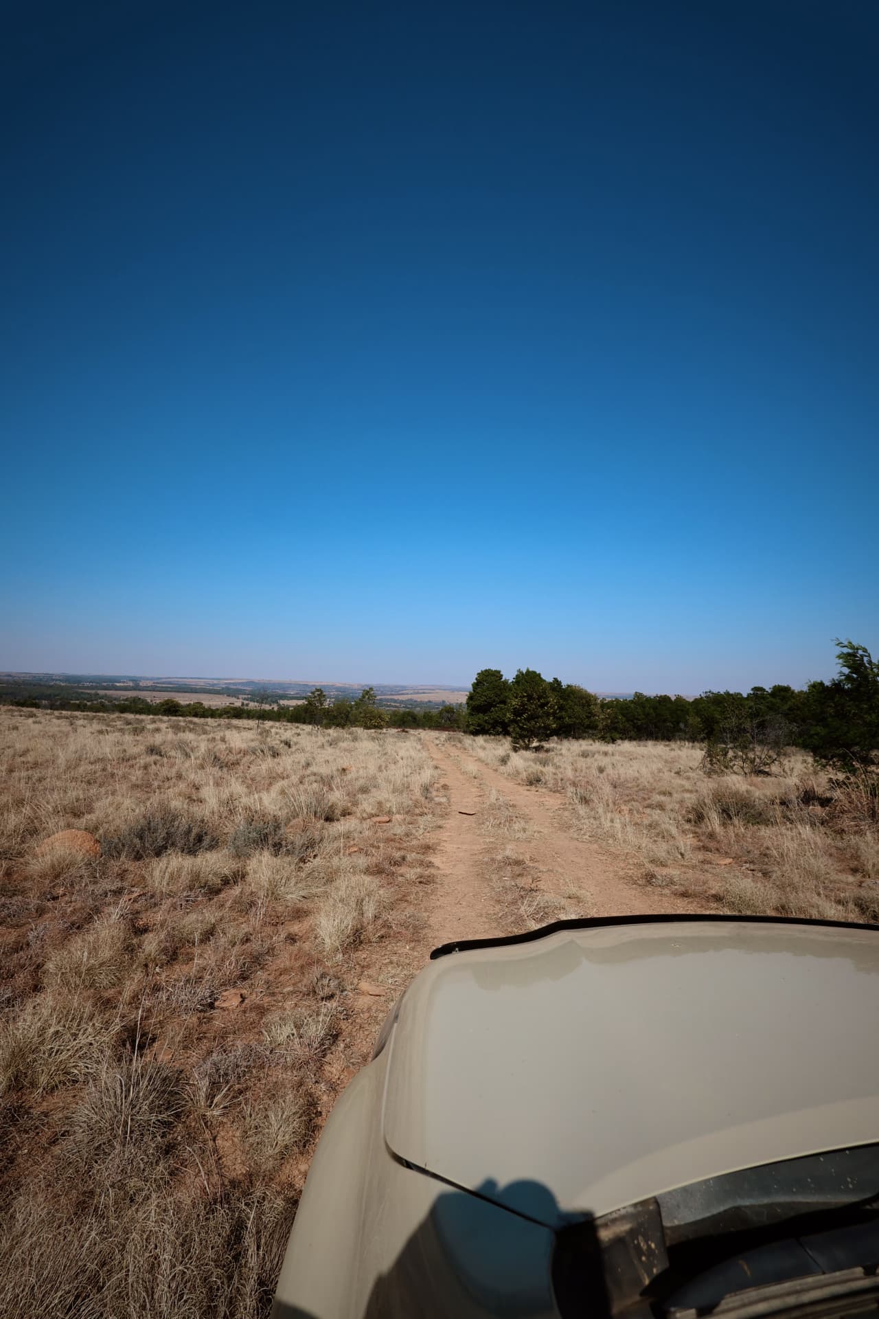 Two track to the ridge