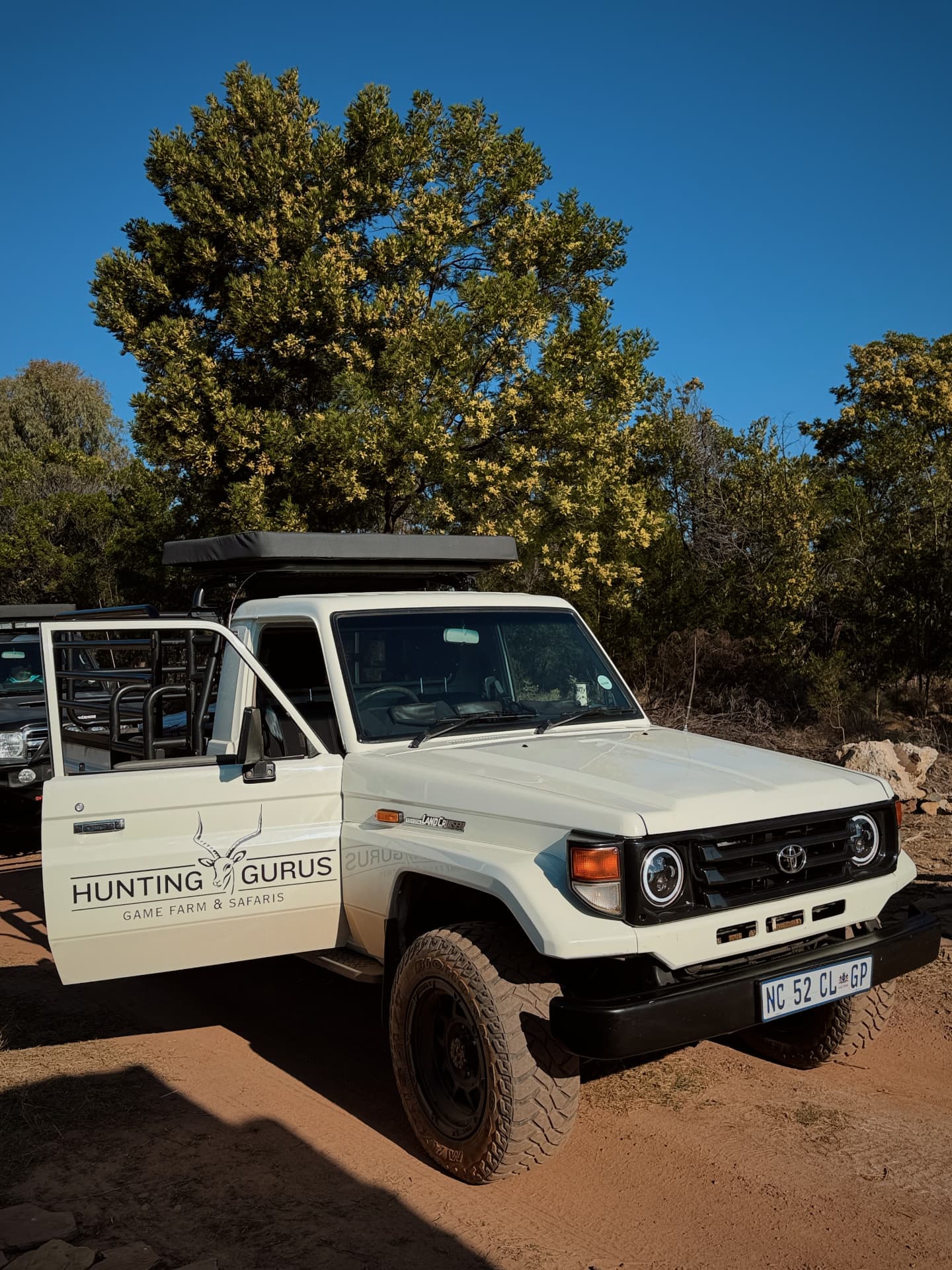 The safari cruiser