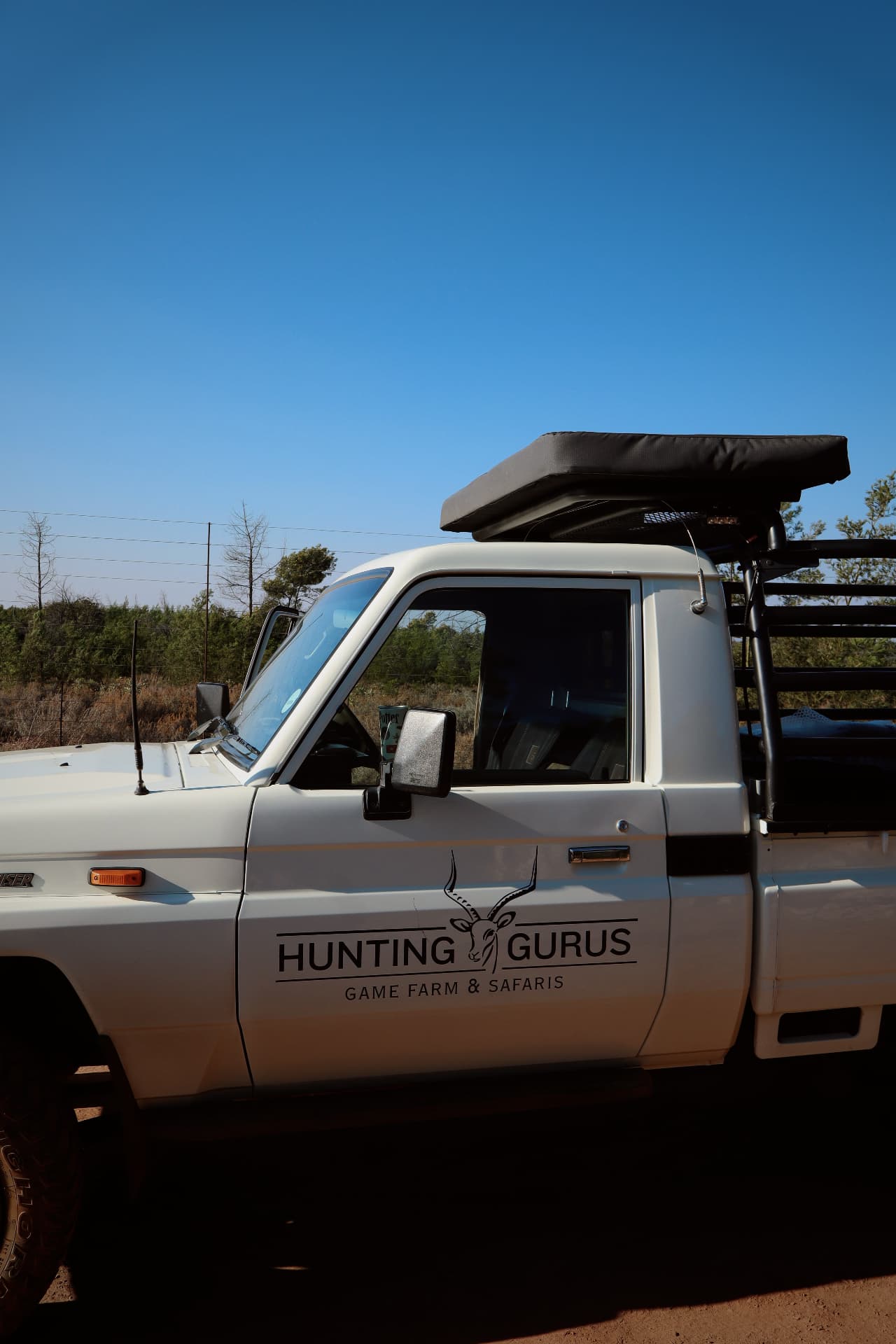 Morning game drive