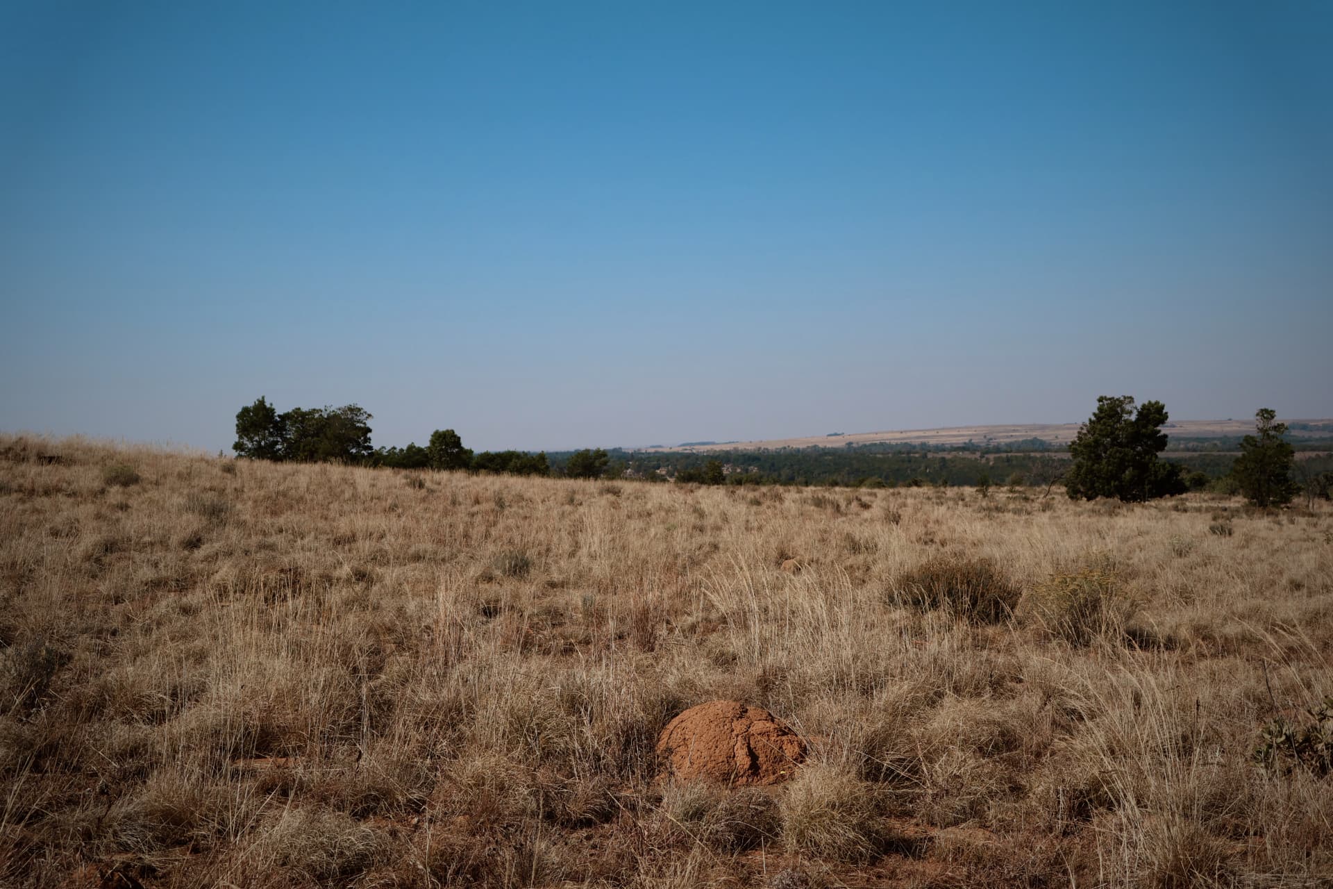 Satellite view of the wider Limpopo bushveld region