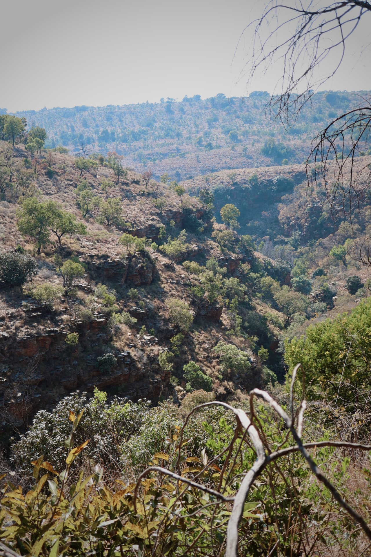 The escarpment